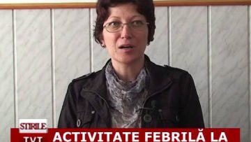 ACTIVITATE FEBRILĂ LA MIHAI EMINESCU