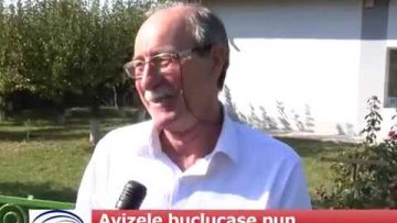 Avizele buclucașe pun bețe în roata investițiilor