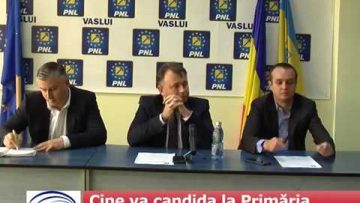 Cine va candida la Primăria Vaslui din partea PNL?