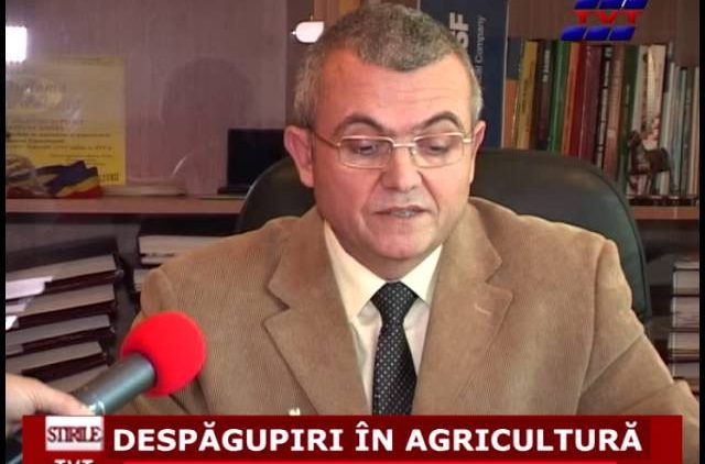 DESPAGUBIRI IN AGRICULTURA
