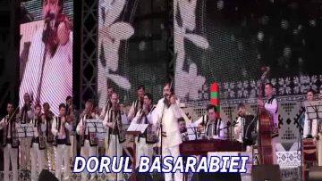 DORUL BASARABIEI ION PALADI