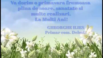 FELICITARI 1