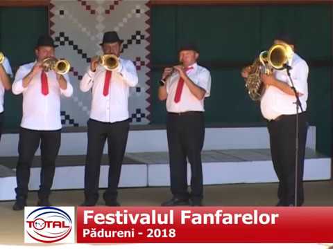 Festivalul Fanfarelor – Pădureni 2018 – partea a doua