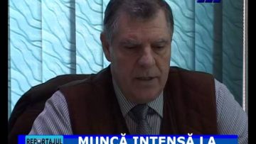 MUNCA INTENSA LA AJVPS
