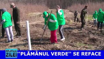 PLAMANUL VERDE SE REFACE