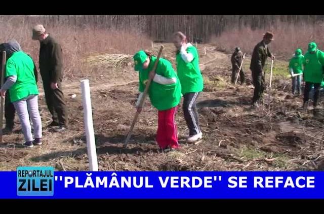 PLAMANUL VERDE SE REFACE