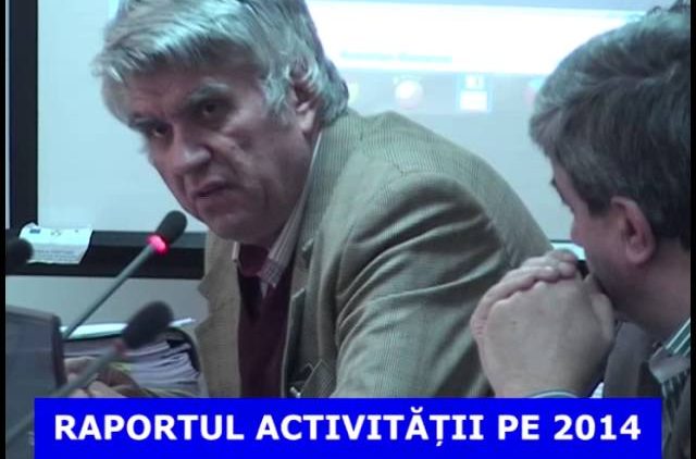 RAPORTUL ACTIVITATII PE 2014