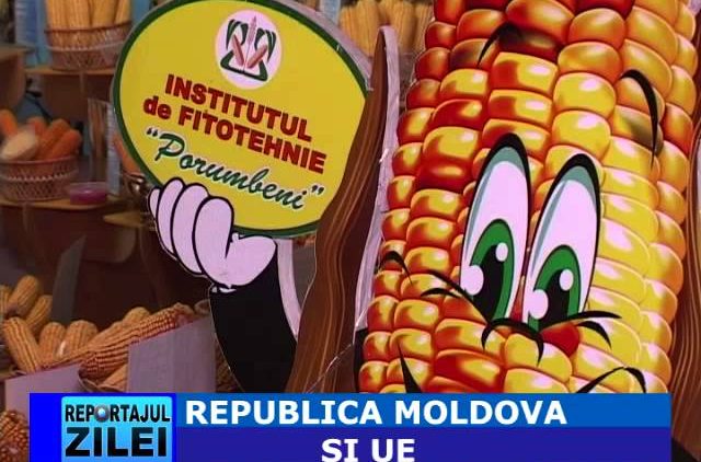 REP  MOLDOVA SI UE