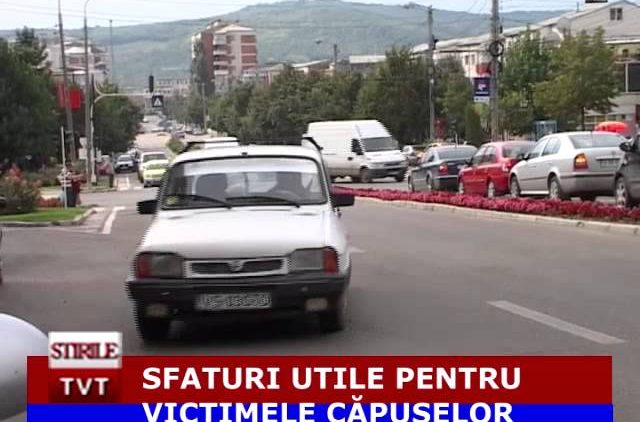 SFATURI UTILE PENTRU VICTIMELE CAPUSELOR