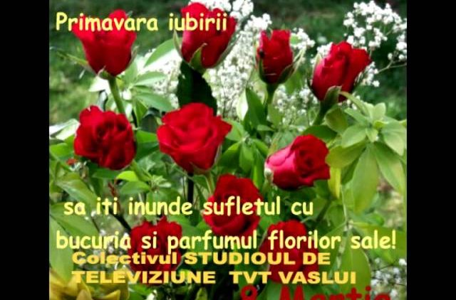 TVT VASLUI