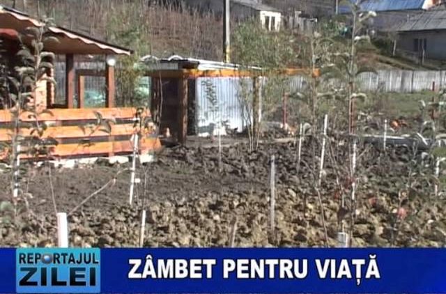 ZAMBET PENTRU VIATA