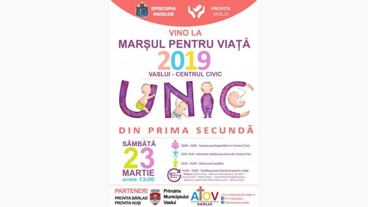 MPV VASLUI 2019
