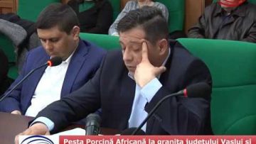 Pesta Porcină Africană la granița județului Vaslui și a micilor rumegătoare la porțile României