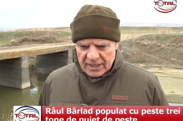 Râul Bârlad populat cu peste trei tone de puiet de pește