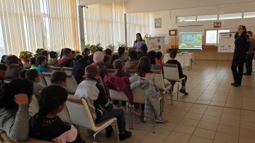 siguranta pentru viata