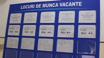 Locuri de munca vacante