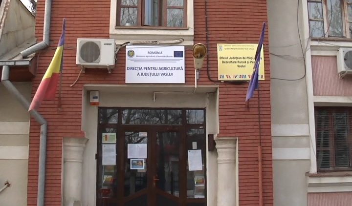 daj vaslui