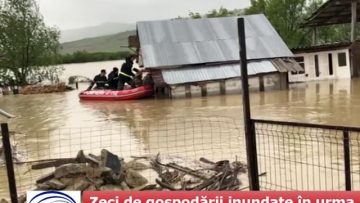 Zeci de gospodării inundate în urma precipitațiilor abundente