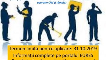 67351268_401386240501773_2232432582081904640_o