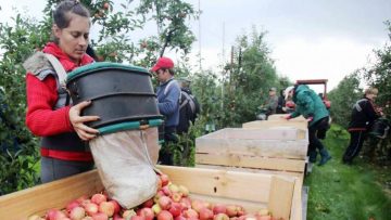 69cdbecf3983f46b5077ba0c0b7db25e