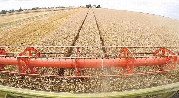 agricultura paioase