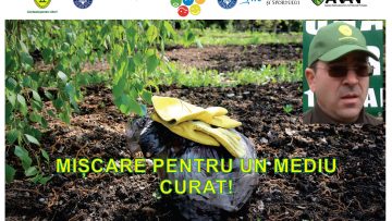 VIZUAL 21 .00_00_00_00.Still001