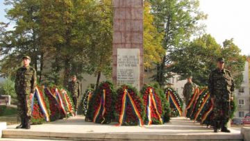 ziua armatei romanae