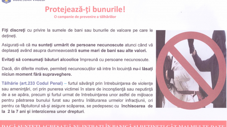 Flyer Talharii