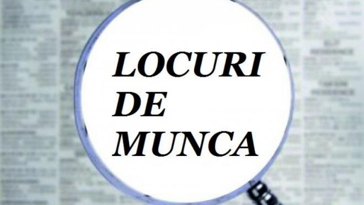l m vacante