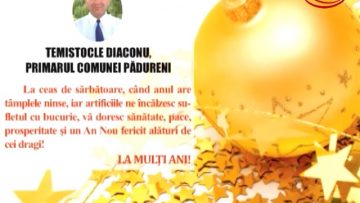 VIDEO: FELICITARE DE ANUL NOU – PRIMĂRIA COMUNEI PĂDURENI