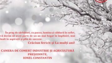 VIDEO : FELICITARE DE CRĂCIUN CCIA VASLUI