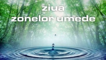 ZONELE UMEDE