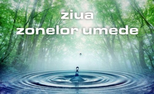 ZONELE UMEDE