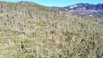 FOTO_ROMSILVA_DOBORATURI_1