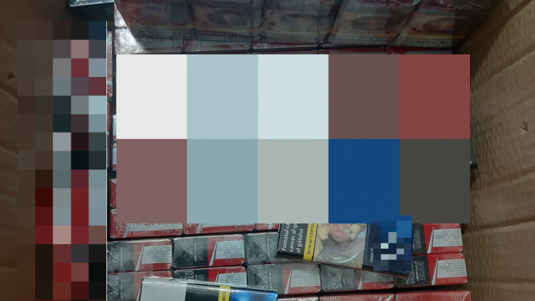 Foto 1 PNG