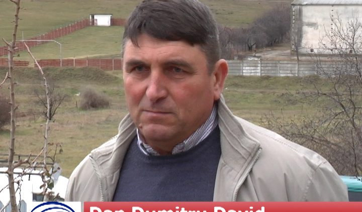 dan david