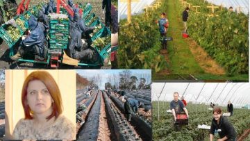 locuri de munca in strainatate.00_00_00_00.Still001