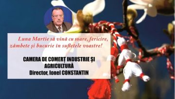 VIDEO: CAMERA DE COMERȚ, INDUSTRIE ȘI AGRICULTURĂ VASLUI