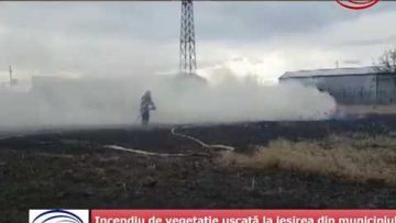 VIDEO: Incendiu de vegetație uscată la ieșirea din municipiul Bârlad