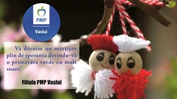 VIDEO//PARTIDUL MIȘCAREA POPULARĂ VASLUI