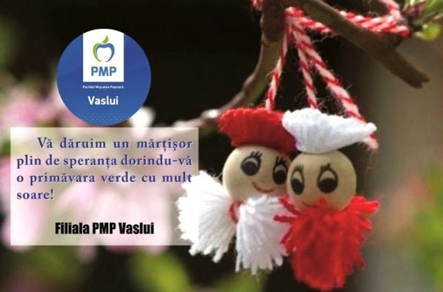 VIDEO//PARTIDUL MIȘCAREA POPULARĂ VASLUI