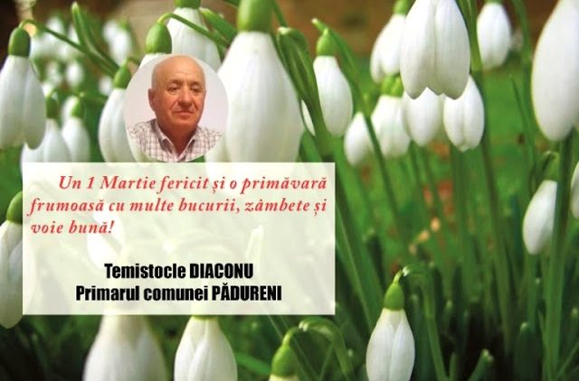 VIDEO//PRIMĂRIA ȘI CONSILIUL LOCAL COMUNA PĂDURENI