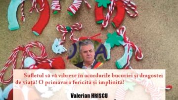 VIDEO//PRIMĂRIA ȘI CONSILIUL LOCAL COMUNA LIPOVĂȚ