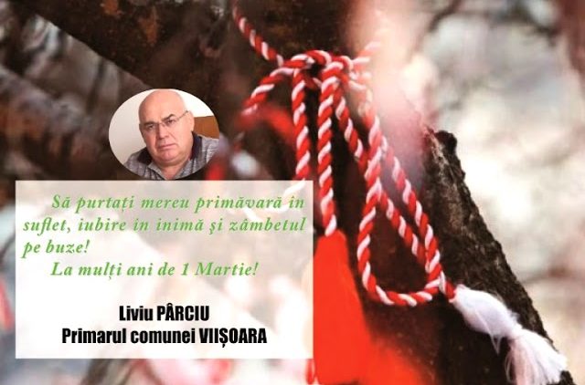 VIDEO//PRIMĂRIA ȘI CONSILIUL LOCAL COMUNA VIIȘOARA