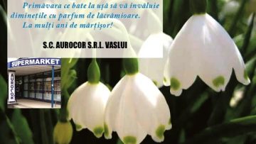 VIDEO: SC AUROCOR SRL VASLUI