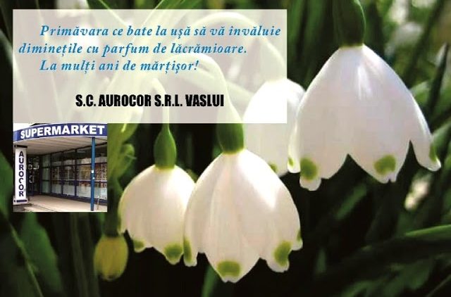 VIDEO: SC AUROCOR SRL VASLUI