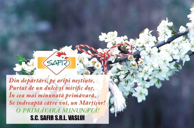 VIDEO//SC SAFIR SRL VASLUI