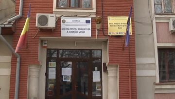 0133QN.MXF_snapshot_00.00.495