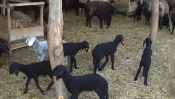 19048N.MXF_snapshot_00.00.550