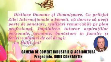 CAMERA DE COMERȚ.mpg_snapshot_00.00.563